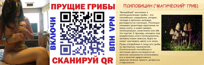 ОМГ ОМГ как войти  Темников  Псилоцибиновые грибы Cubensis 